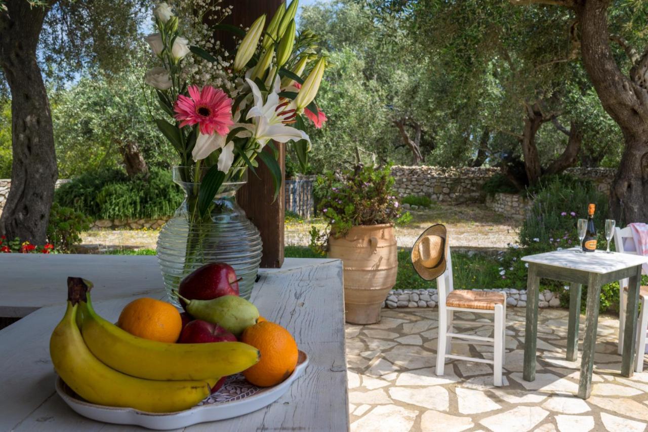 Villa Elaia Suites & Apartments No.3 Gaios Extérieur photo
